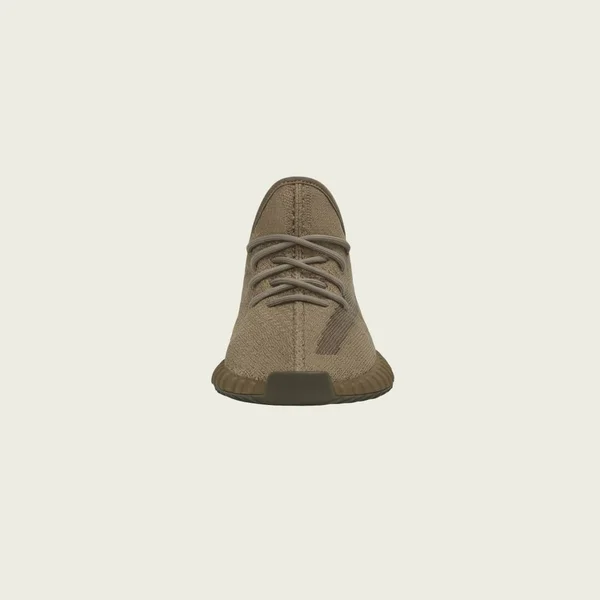 Adidas Yeezy Boost 350 V2 (Earth) 9