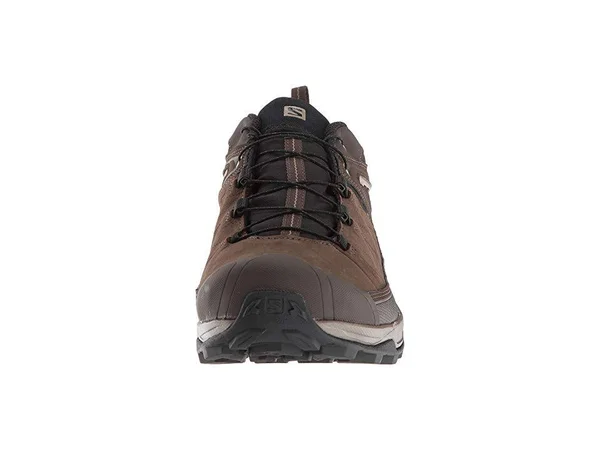 Salomon Men's x Ultra 3 LTR GTX Hiking Shoes
