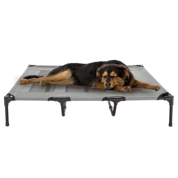 Pet Pal Gray Rectangular Bed (FOR Large) Rubber - 532169MPL