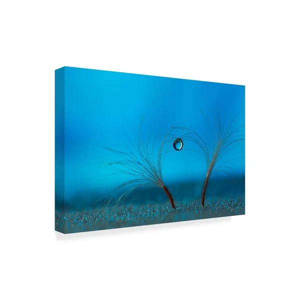 Trademark Art Heidi Westum 'Keep The Balance' Canvas Art