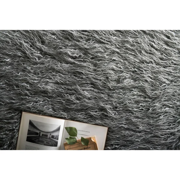 Alexander Home Rustic Faux Fur Shaped Curly Hair Shag Area Rug, Size: 3& x 5&, Beige
