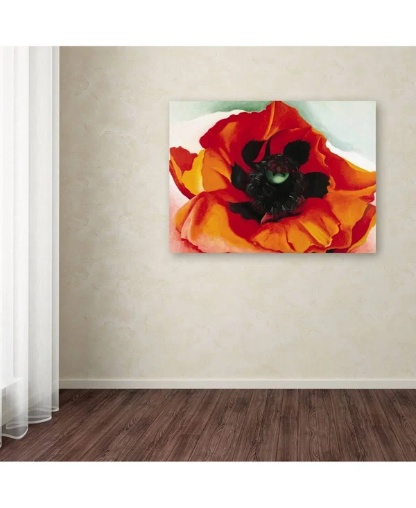 Georgia O&Keefe &Poppy& Canvas Art - 35x47