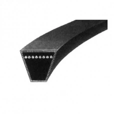 V-Belts Wrapped C162
