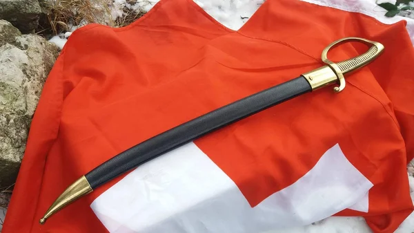 Denix Replica French Pirate Boarding Cutlass with Scabbard
