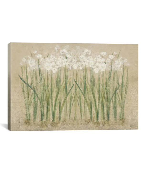 iCanvas Wac3823-1pc3-26x18 Narcissus Cool by Cheri Blum