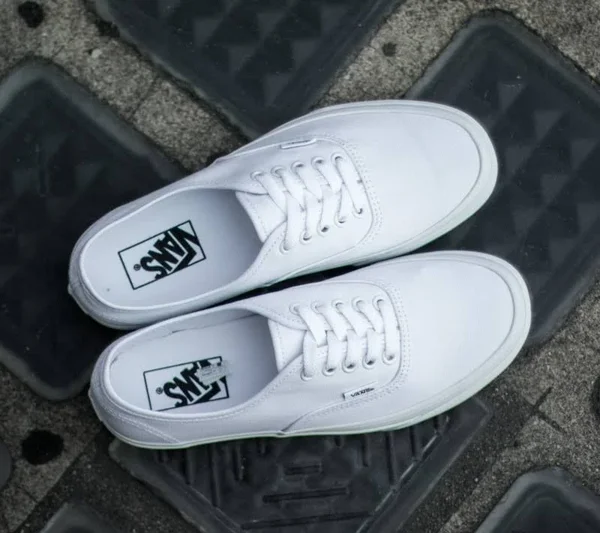 Vans Authentic Shoes - True White