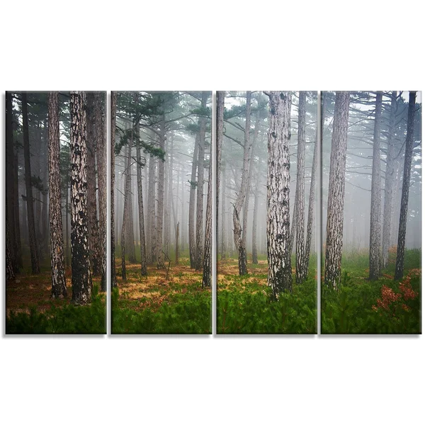 Designart 'Dense Misty Forest' 4 Piece Photographic Print on Wrapped Canvas Set
