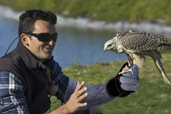 RAPICCA Animal Handling Gloves Bite Proof Kevlar Reinforced Leather Padding Dog - Cat Scratch, Bird Handling Falcon Gloves Grabbing