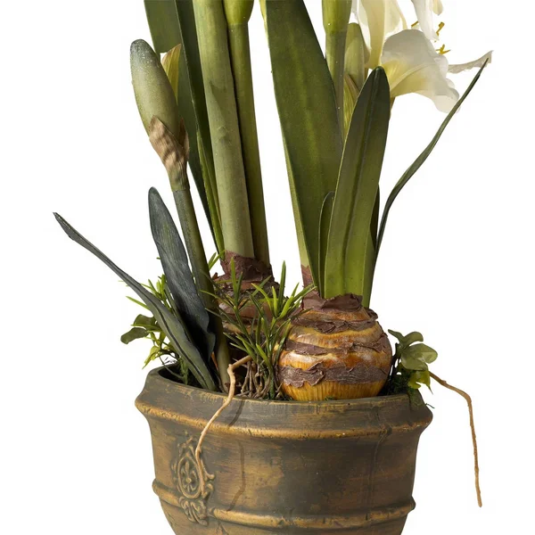 Kensington Hill White Amaryllis 25x22 High Faux Flower Arrangement