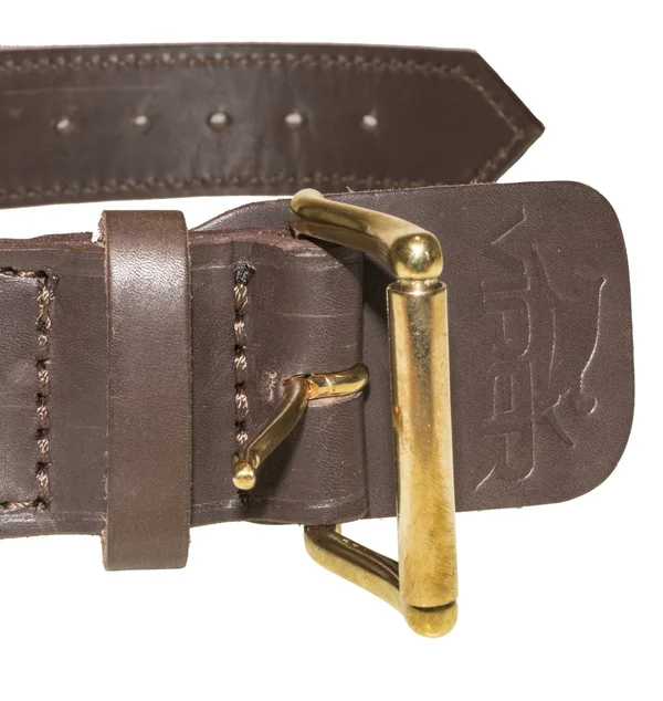 Viper Two-Ply Leather Collar with Handle