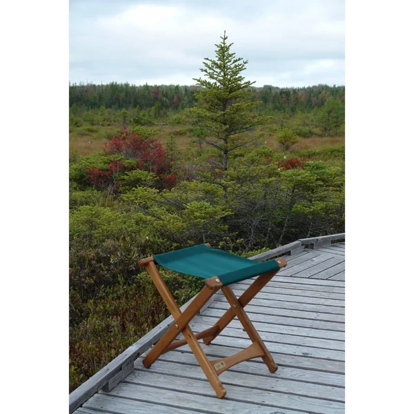 Byer of Maine Pangean Folding Stool Natural