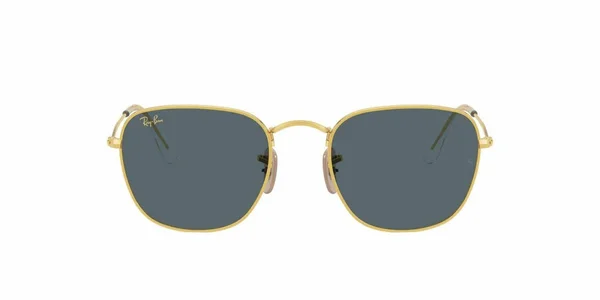 Ray Ban RB3857 Frank Sunglasses - 9196AF Legend Gold/Purple