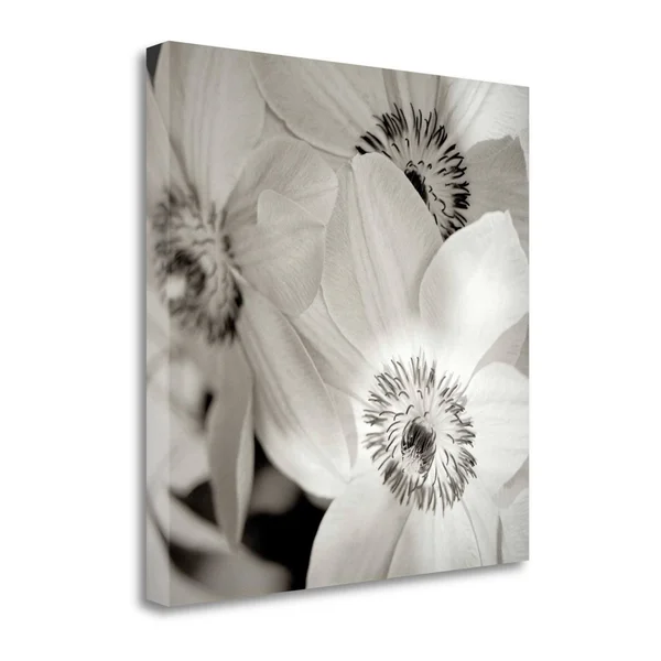35x22 x 35x22 Florison - 31 by Alan Blaustein Fine Art Giclee Print