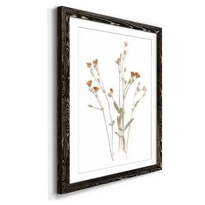 Pressed Botanical I - Print Gracie Oaks Frame Color: Black, Size: 32x22 H x 23x22 W x 1x22 D