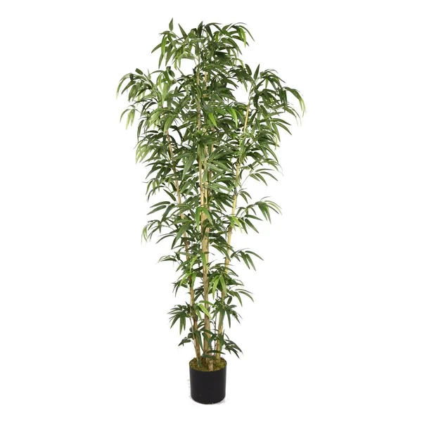 Vintage Home 72x22 Natural Bamboo Tree