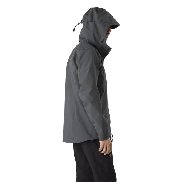 Arc&teryx Gamma LT Hooded Softshell Jacket - Men's Anecdote, S