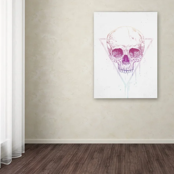 Trademark Fine Art Skull in Triangle Canvas Art by Balazs Solti - Size: 18 x 24