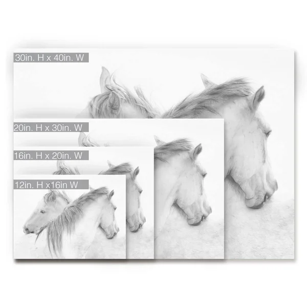 Ready2HangArt Horses Canvas Wall Art