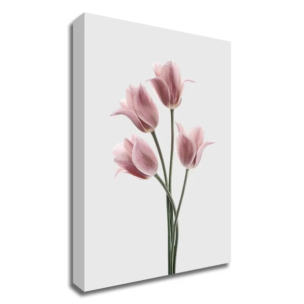 28x22 x 20x22 Tulips Pink by Design Fabrikken Print on Canvas