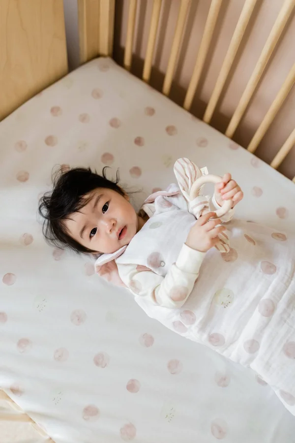 Pehr Designs Crib Sheet - Little Lamb