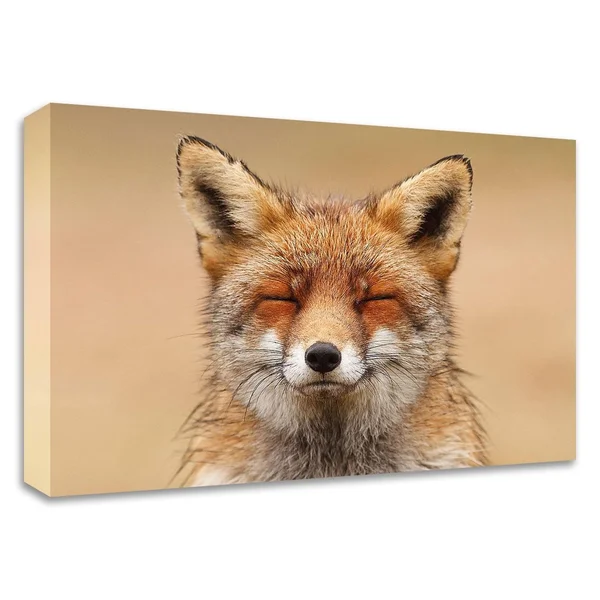 14x22 x 21x22 Zen Fox Red Portrait by Roeselien Raimond Print on Canvas