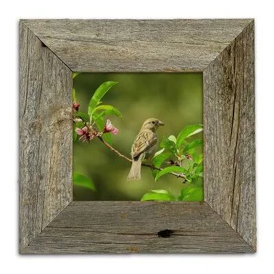 Denice Matte Wood Frame Set Loon Peak Color: Weathered Gray - Picture Size: 9x22 x 12x22