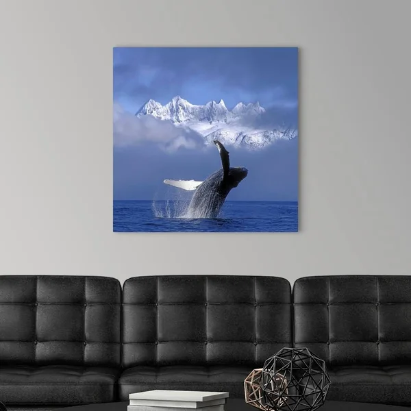 Humpback Whale Breaches in Clearing Fog SE AK Spring w/Mendenhall - Canvas Wall Art, 30x30, Great Big Canvas