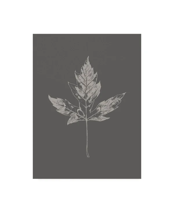 Trademark Fine Art Ic01302-C2432Gg Design Fabrikken 'Botanica 5 Fabrik