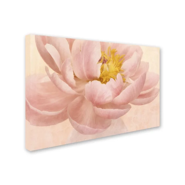 Trademark Fine Art Ali1869-C2232Gg Cora Niele &Pink Peony& Canvas Art