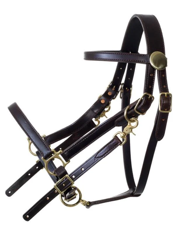 Tucker Standard Halter Bridle w/Chrome Horse Brn