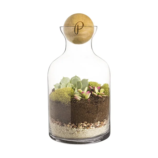 Personalized Glass Terrarium with Wood Ball Personalized 56-Ounce Clear Glass Terrarium with Wood Ball