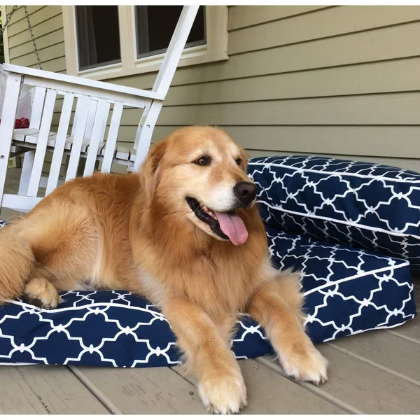 Snoozer Garden Gate Navy Rectangular Pet Bed - Large