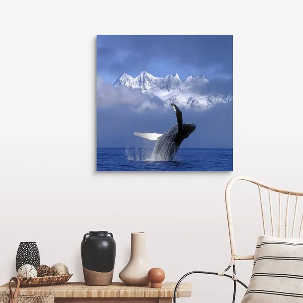 Humpback Whale Breaches in Clearing Fog SE AK Spring w/Mendenhall - Canvas Wall Art, 30x30, Great Big Canvas