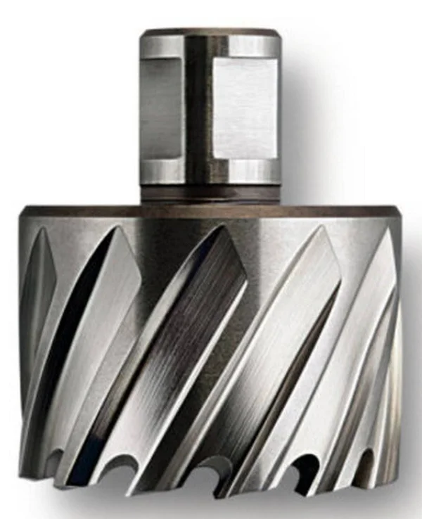 Fein 63134349008 Slugger Cutter Cobalt 1-3/8x22 Diameter x 2x22 Depth