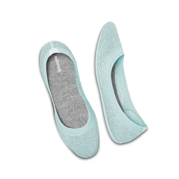 Allbirds Women's Tree Flats - Frost, Size 5