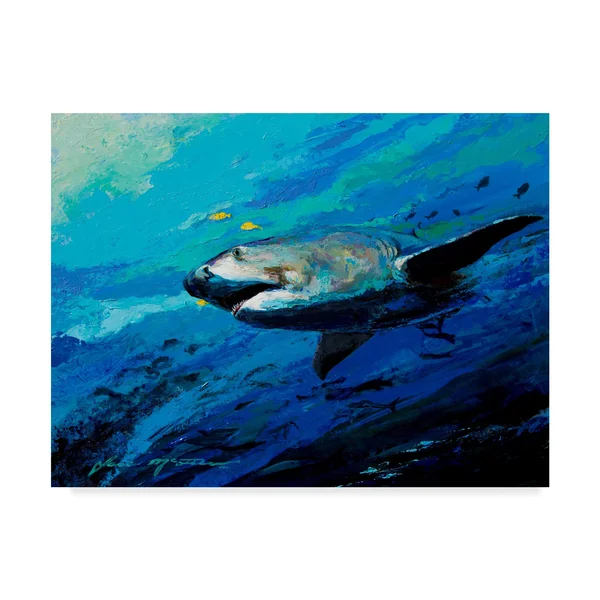 Trademark Fine Art The Mighty Bull Shark by Jace D. Mctier 24x32-Inch Multicolor