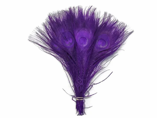 Moonlight Feather Peacock Feathers - Eggplant - 100 Pieces Bleached and Dyed Peacock Tail Feathers