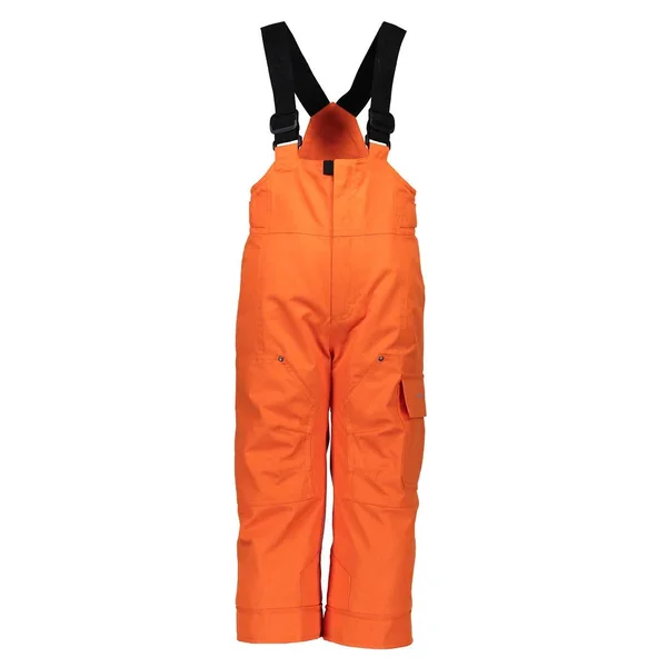 Obermeyer Volt Pant - Toddler Boys& Bluto, 4