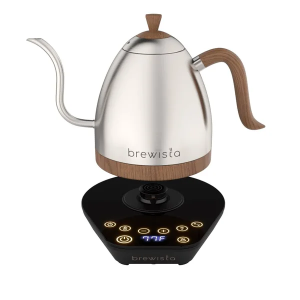 Artisan Electric Gooseneck Kettle All Black