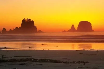 Framed Canvas Art (White Floating Frame) - Vibrant Twilight, Point of Arches, Shi Shi Beach, Olympic National Park, Washington