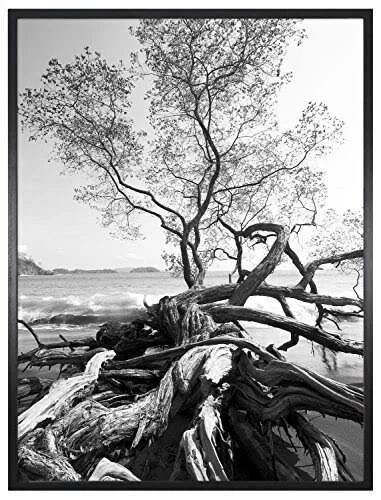 MCS 30x40 inch Art Shadow Box Frame - Black (47631)