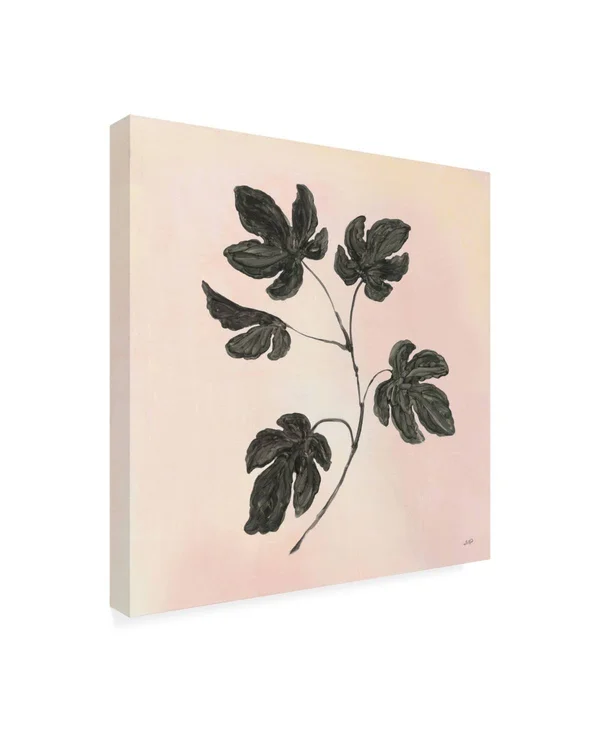 Trademark Art Julia Purinton 'Botanical Study III Blush' Canvas Art