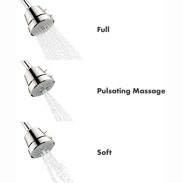 Hansgrohe 04500000 Club 100 Chrome Showerhead