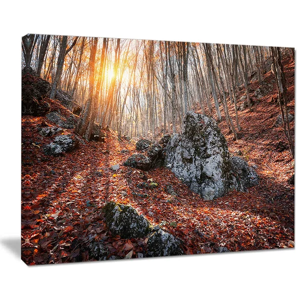 'Rocky Red Autumn Forest' 4 Piece Photographic Print on Wrapped Canvas Set Design Art