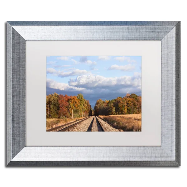 Trademark Fine Art &Wellington Tracks& by Jason Shaffer Framed Photographic Print - Size: 11x22 H x 14x22 W x 0.5x22 D - Matte Co