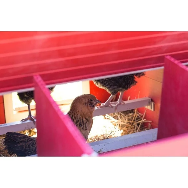 New Age Pet Ecoflex Fontana Chicken Barn, Jumbo, Red
