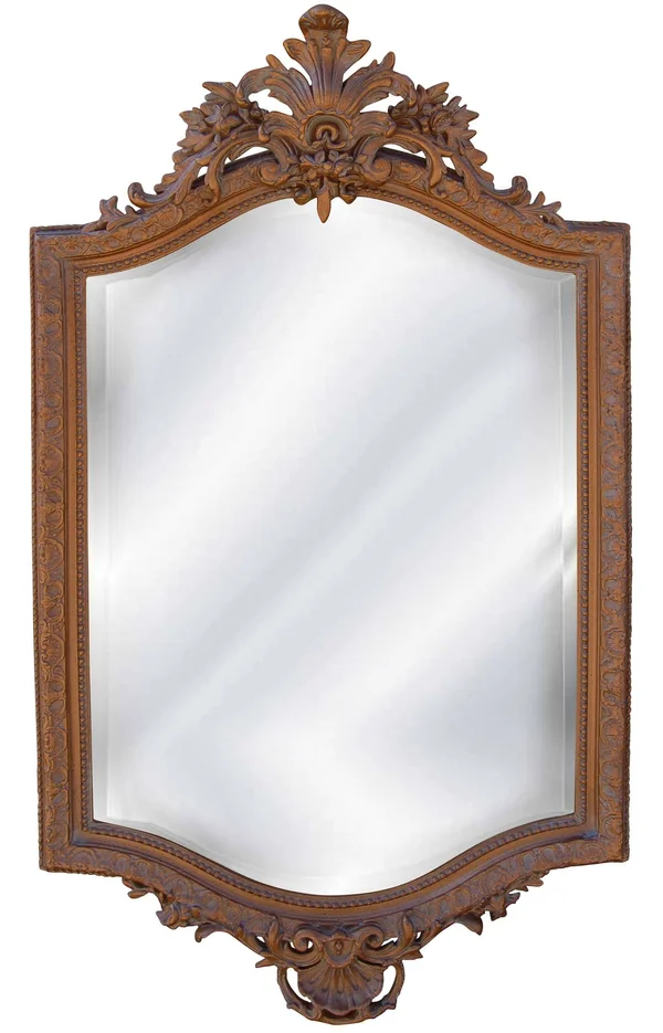 Hickory Manor House 18th Century French Mirror, Bronze