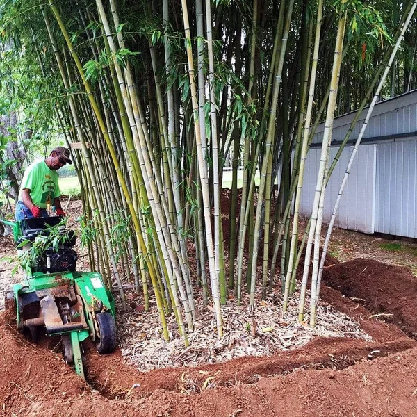 Bamboo Shield - 80 Mil Thick by 30in Depth 90 Feet