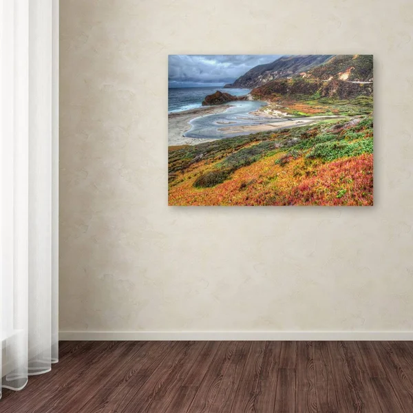 Trademark Global Pierre Leclerc Bigsur California 16 x 24 Canvas Art