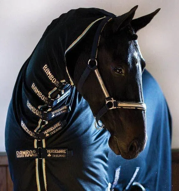 Rambo Grand Prix Dustbuster